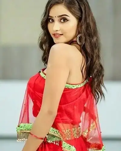 Call Girls Service Vikasnagar